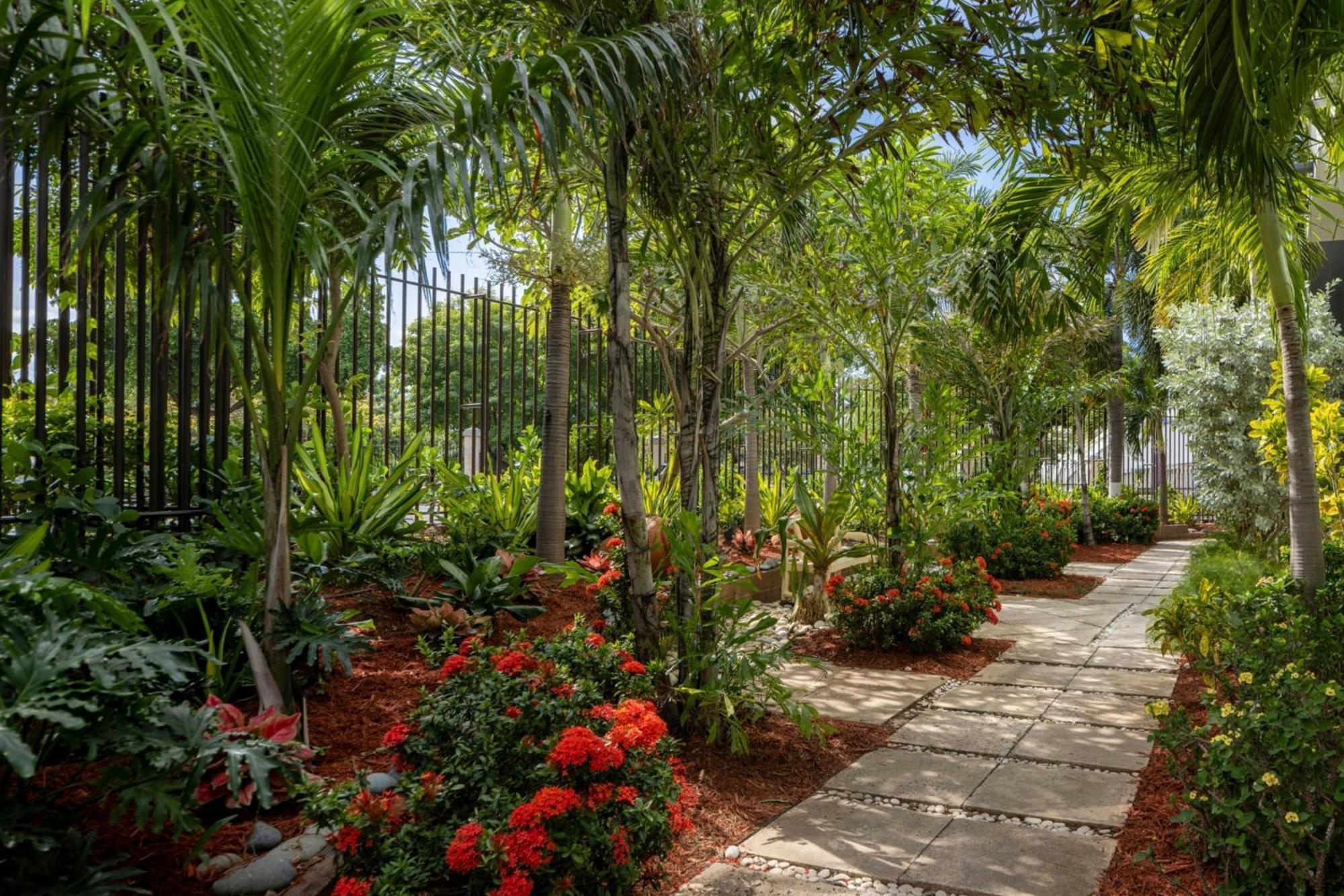 Courtyard By Marriott Kingston, Jamaica Ξενοδοχείο Εξωτερικό φωτογραφία
